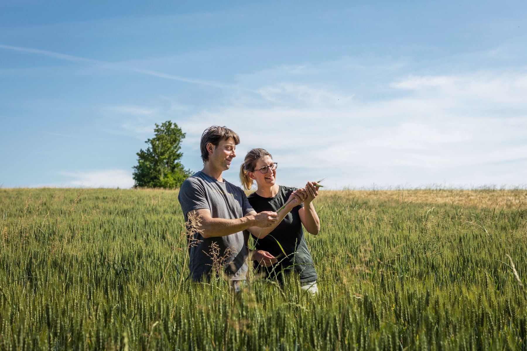 Daniela und Lukas Rediger im Getreide